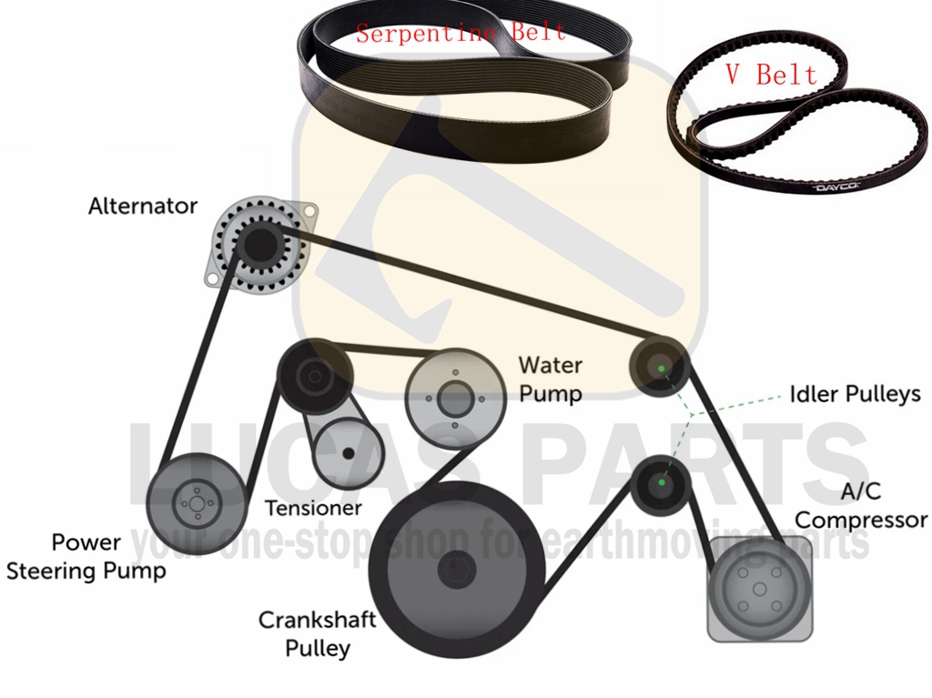 V-Belt-Serpentine-Belt-Diagram Dayco Lucas Parts
